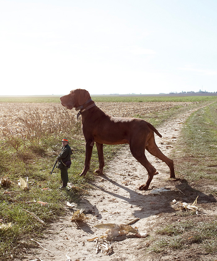 Franck Allais @ Recomfarm House